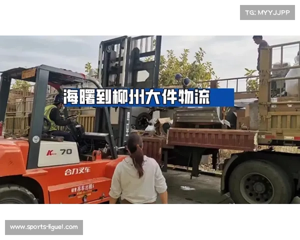 柳州赛事物流系统升级助力装备转运效率提升40% 柳州赛事物流系统升级助力装备转运效率提升40%